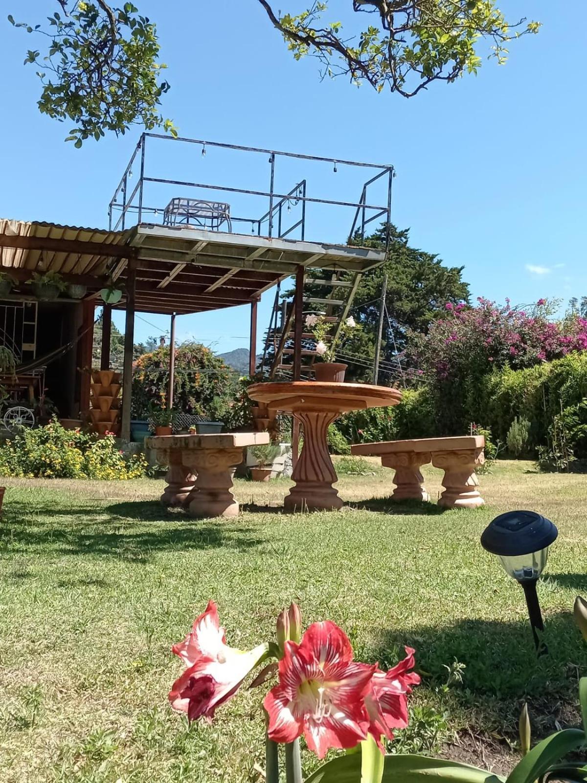 Hostal Vista Boquete Bajo Boquete Exterior photo